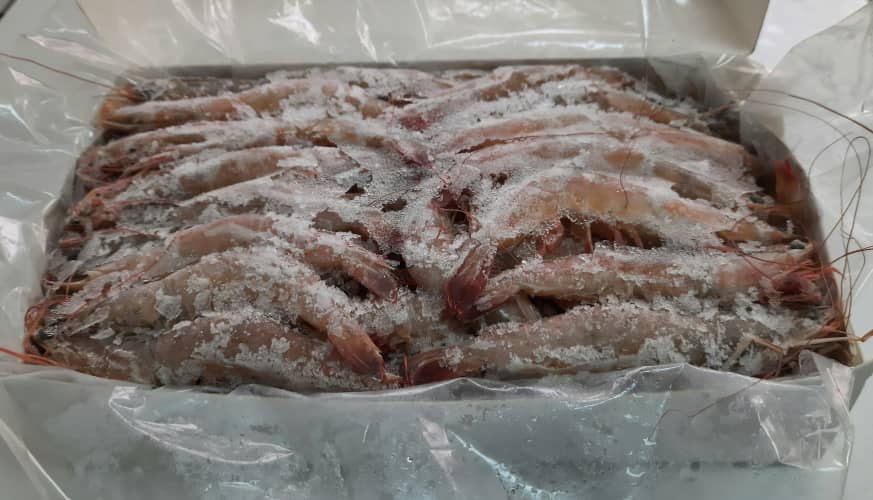 Camarón Entero Marino Congelado (2 kg)