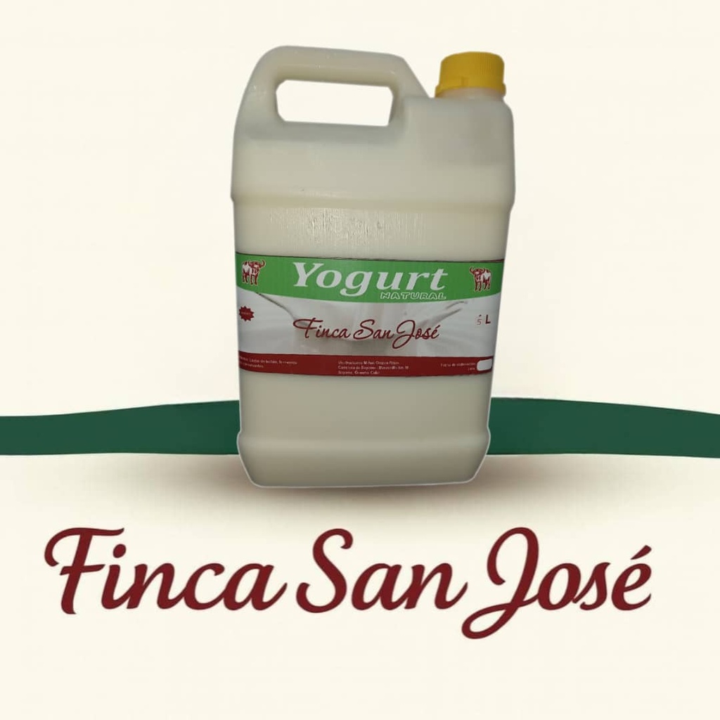Yogurt Natural San Jose (5 litros)