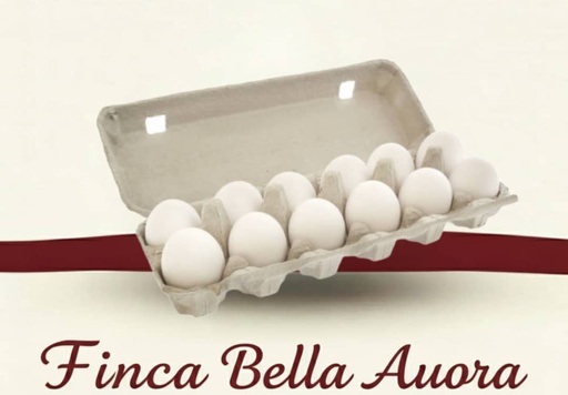 Huevos Frescos  (12 unidades)